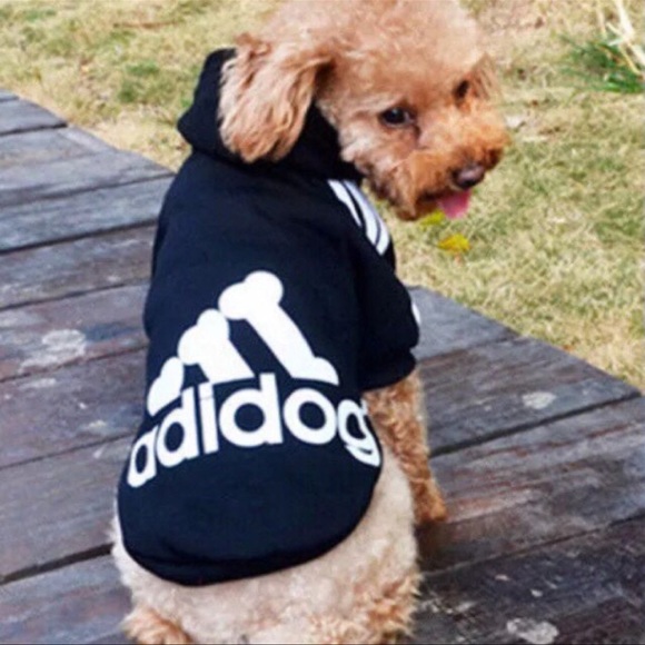 4 Starter Kits Set For Your FurBaby - Picture 6 of 6